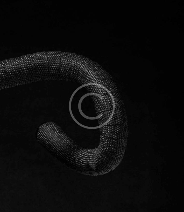 img-ab5-copyright img-ab5-copyright